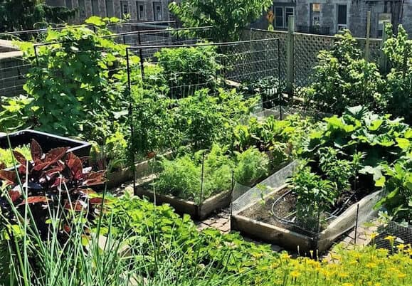 Un jardin partagé comme espace d'apaisement dans une ville dynamique