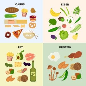 The 7 components of food: Functions and Sources image showing fats, fibers, proteins and carbs component of food