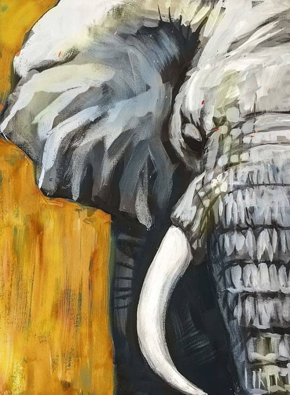 Lara-PaintEvents-Elephant-PS-orange_web