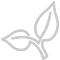 growth-icon