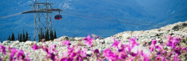 Whistler's summer gondola