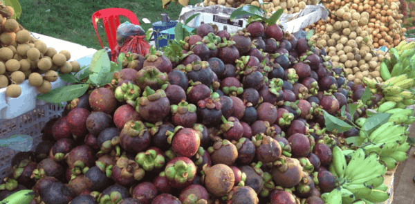 South-east asian fruit including purple mangosteens.