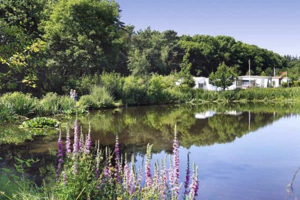 Camping Drenthe Camping Friesland Camping Drents Friese Wold