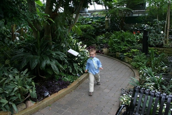 Visiting Edmonton with a toddler, Edmonton with a toddler, edmonton with a baby