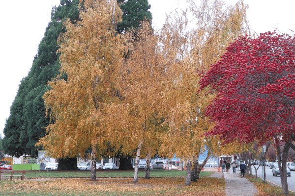 Bariloche - Argentina - UmTour