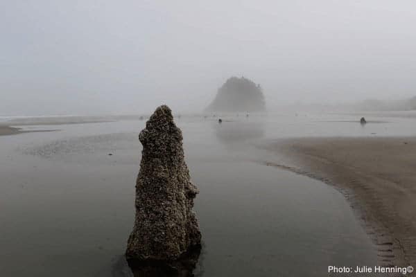 Neskowin
