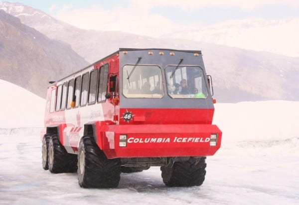Alberta Glacier Ice Bus glacier adventure, ice explorer, ice bus, brewster tours ice explorer, columbia icefields adventure, glacier walk, banff with kids, banff with a toddler