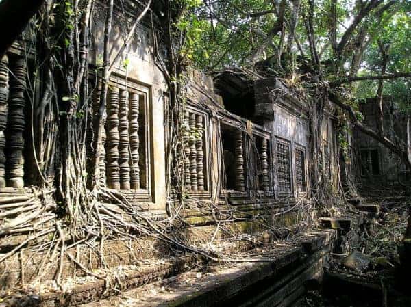 The beng mealea temple complex near angkor is an exotic and beautiful overgrown ruin.