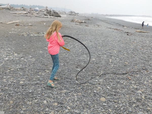 A tween plays with a long piece of seaweed on rialto beach in washington.