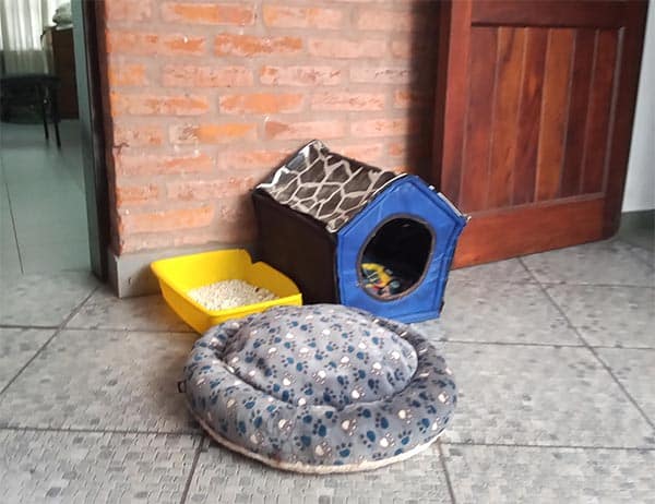 casita de los gatos