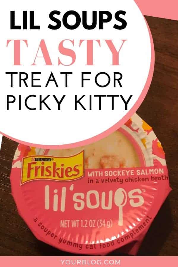 Cat Food Toppers and Treats Friskies Lil' Soup Review Life & Cats