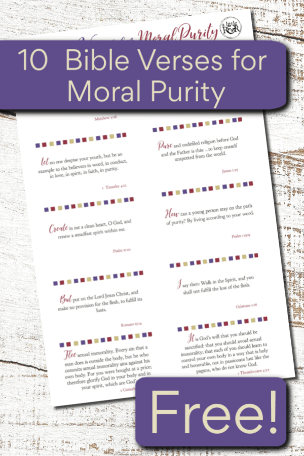 10 Bible Verses For Moral Purity A Little R R