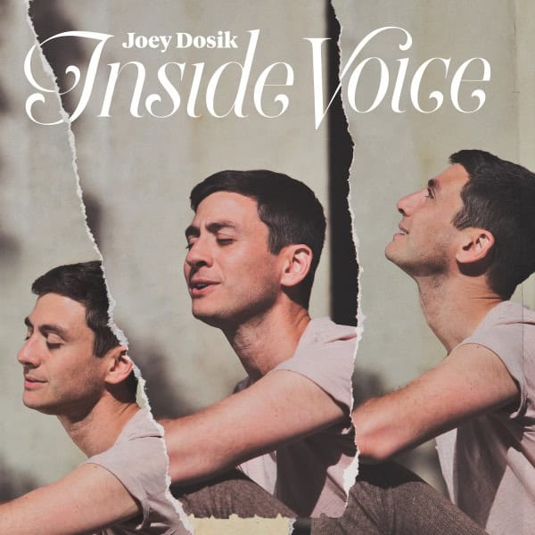 Inside Voice - Joey Dosik
