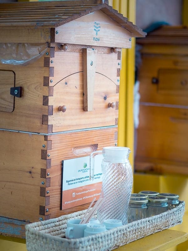 Flow Hive of the Puntacana Bee Farm