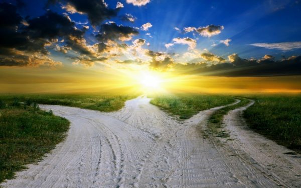 How to Become a Senior Leader who is an Amazing Manager of Managers 15 How to become a senior leader - make sure it's the path you want
