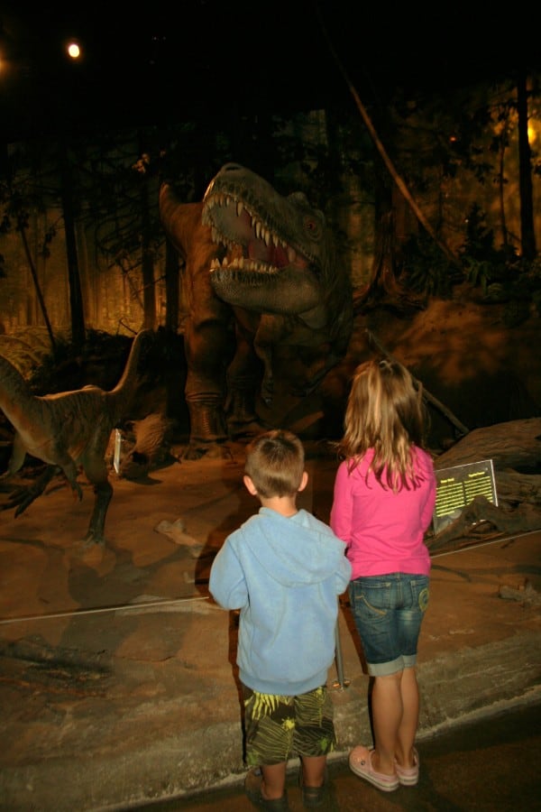 Drumheller dinosaur museum drumheller museum, dinosaur museum, drumheller alberta, drumheller, royal tyrrell museum, royal tyrrell, drumheller with a toddler, drumheller with toddler, drumheller with kids