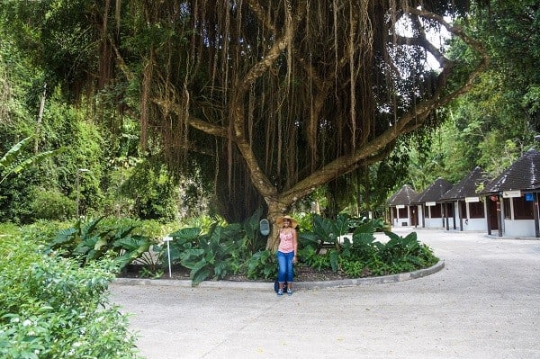 How to Spend 3 days in Barbados - Visit Harrison's Cave