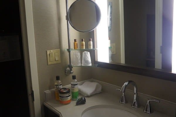 Sheraton Brooklyn Bathroom Mirror