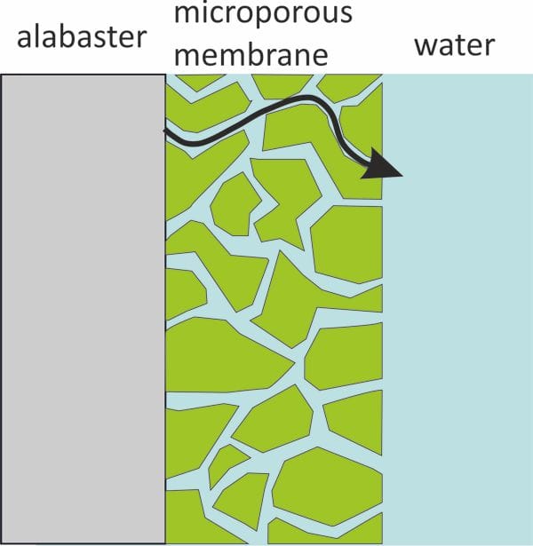 Calcium sulfate transport from membrane-covered alabaster plate to water.