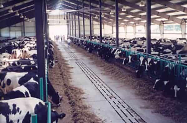 692 COW MANURE STORAGE SYSTEM