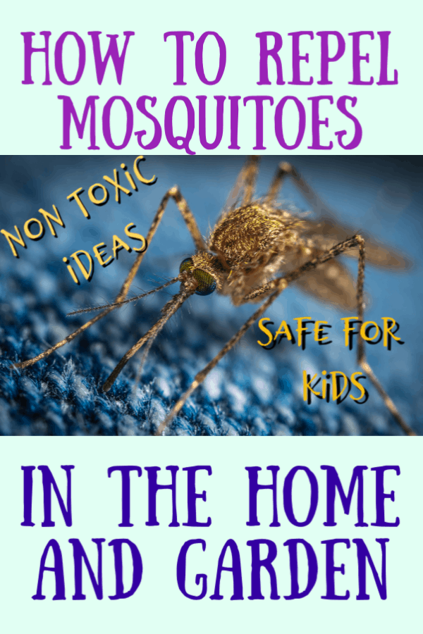 How to Repel Mosquitoes Naturally - Crafty Little Gnome