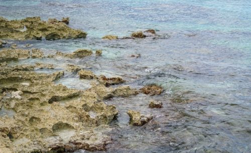 Shallow reefs for beachside snorkeling on the riviera maya
