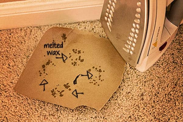 How to get wax out of a carpet using an iron and brown paper