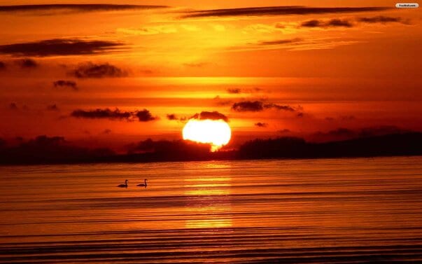 Mindfulness at Work: How Mindfulness Can Make You a Better Manager 3 mindfulness at work start of your day