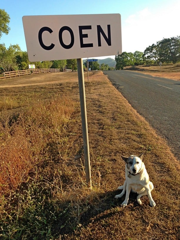 Dog next to sign in Coen Cape York
