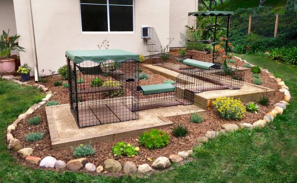 a connected cat enclosure with beautiful landscape design
