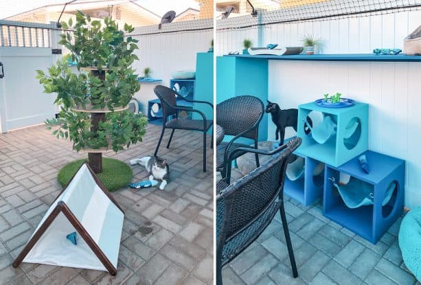 complete features for the cats, including artificial tree, hammocks, and tents