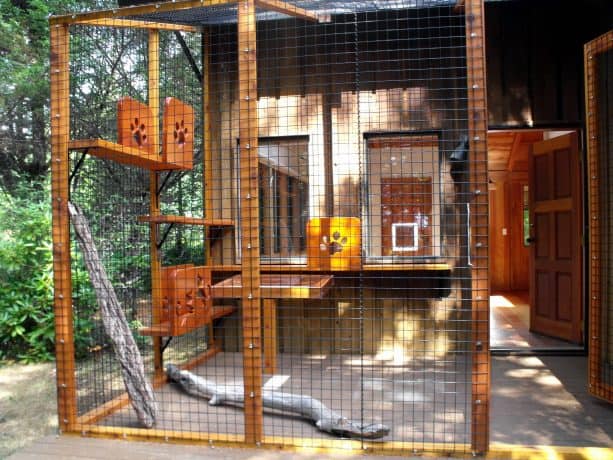 beautiful stained-wood cat enclosure with cute cutout design