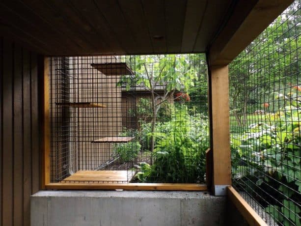 the unique steps connecting the lower floor of the outdoor cat enclosure with the balcony above it