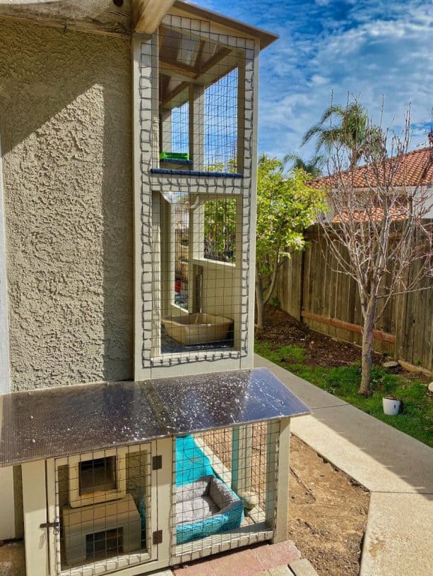 the entrance insert of the cat enclosure is hidden in one side