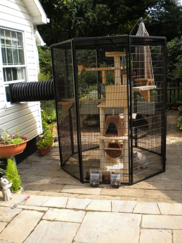 black aluminum frame hexagonal cat enclosure connected to house with cat tree inside it
