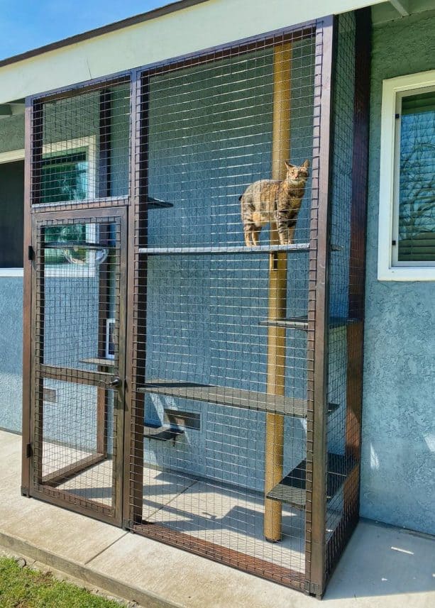 a space-friendly cat enclosure to provide a fun place and enough sunlight for the cat