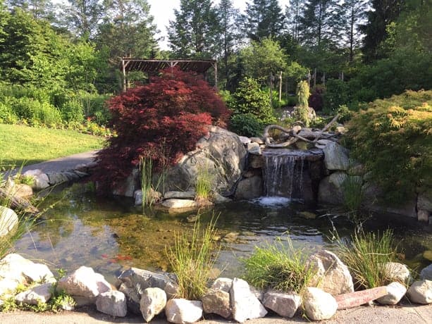 Weezie's Garden water feature