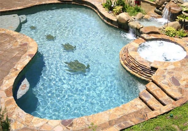 3D turtles mosaic in small inground swimming pool