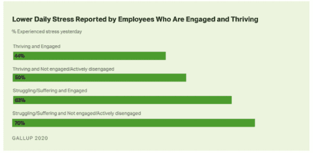 4 Potential Concerns Causing High Employee Turnover in 2021 according to Gallup and others 4 high employee turnover is likely to happen if your team is not thriving