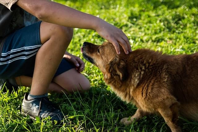 Spend time with your friends, family and pets!