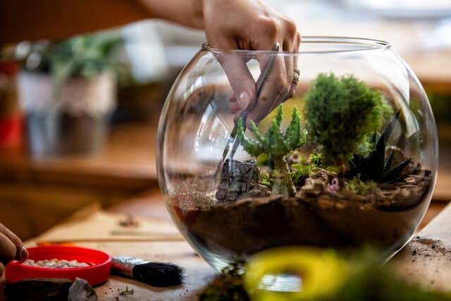 Firebird Team Building Events Terrarium
