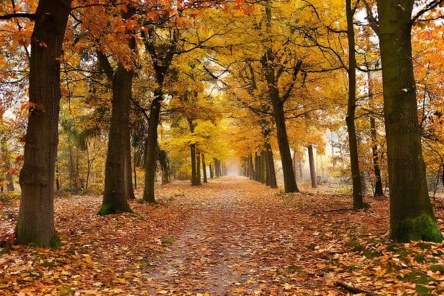 8 redenen waarom ik van kamperen in de herfst hou! KAMPEERPRAAT 8 redenen waarom ik van kamperen in de herfst hou!