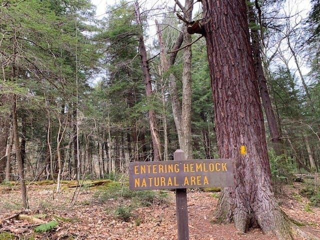 hemlock trail natural area sign at laurel hill state park