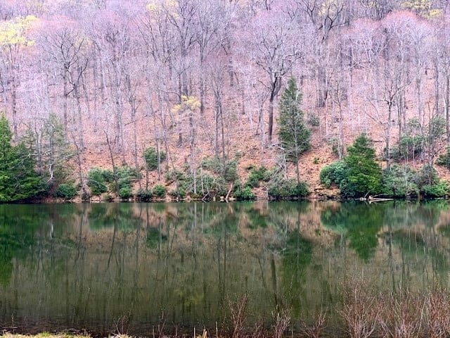 reflections in laurel lake