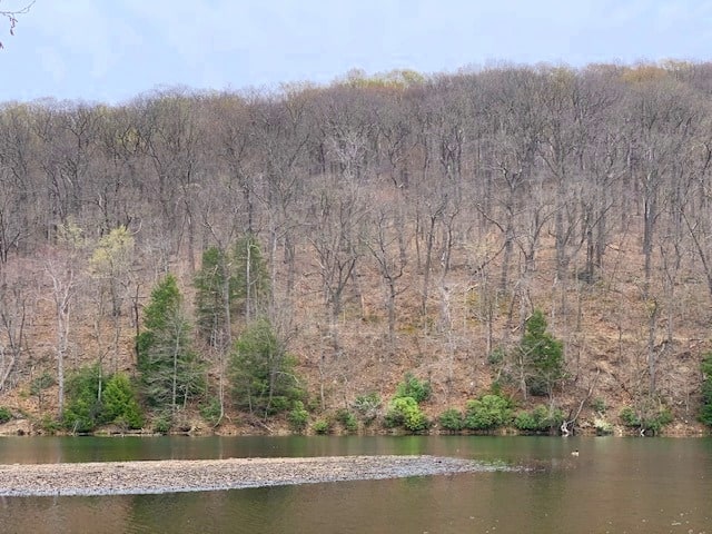 lake trail with hazel at laurel hill state park