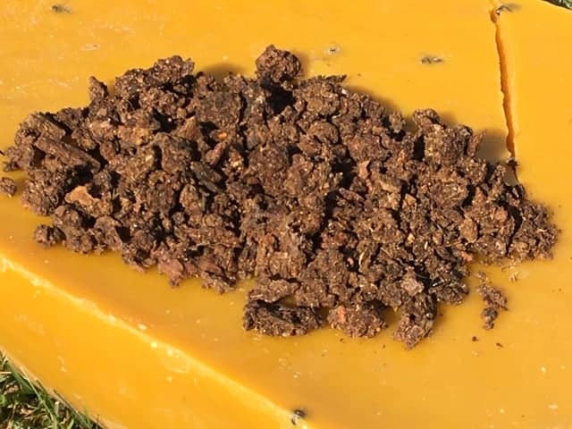 propolis - vent de miel api moulin Propolis brute biologique
