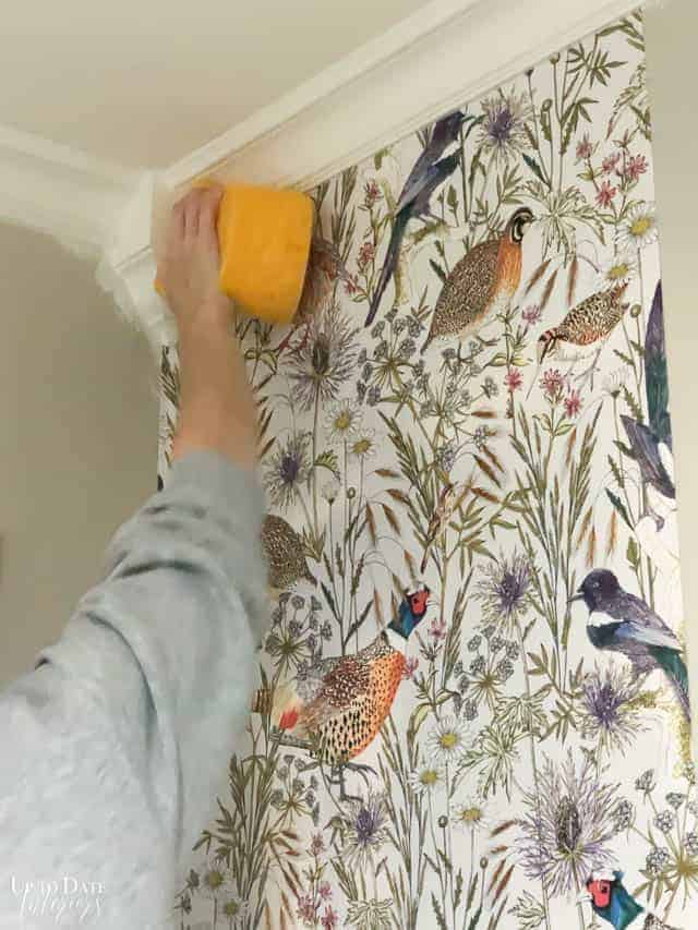 How to Hang Unpasted Wallpaper by Yourself Up to Date Interiors
