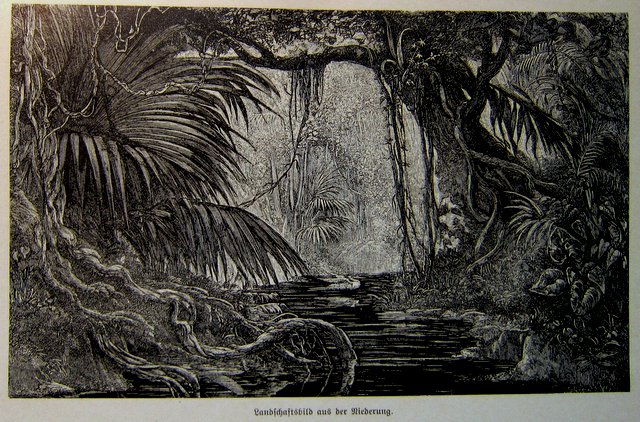 Landschaftsbild aus der Niederung Monolithisches Tor - Francisco Pizarro und die Eroberung von Peru