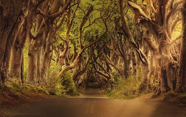 Things to do in Ireland coastal route