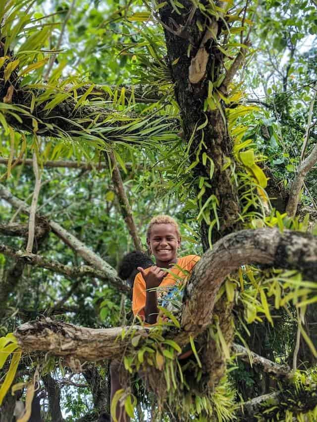 Boy in a tree in the Solomon Islands